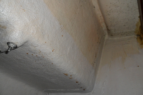 [Immagine: 2011111751247_2.JPG]